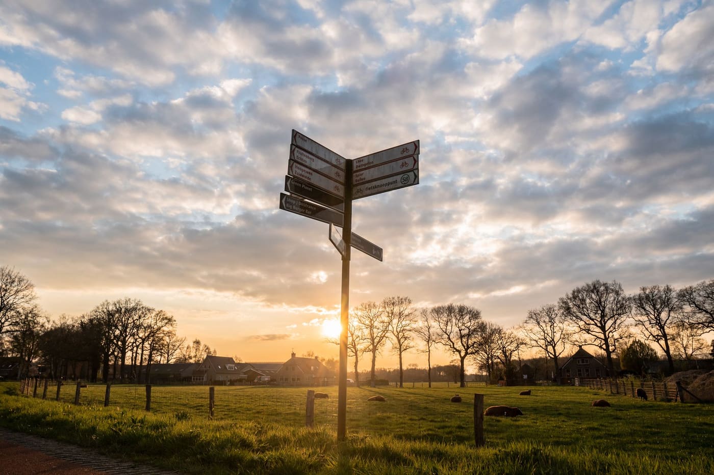A signpost with several arms in a field at sunset